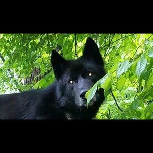 Meet your Posher, Christin